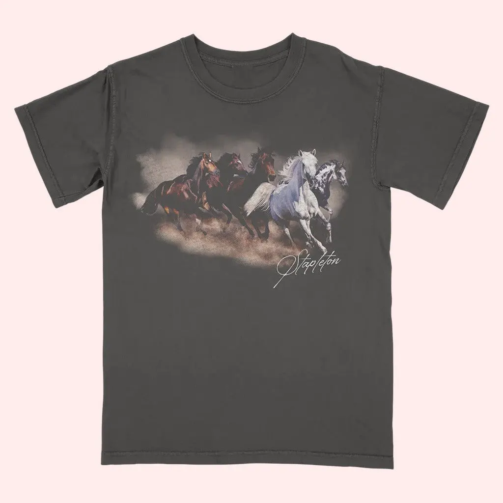 Chris Stapleton Merch Stapleton Horses TShirt Gifts For Father