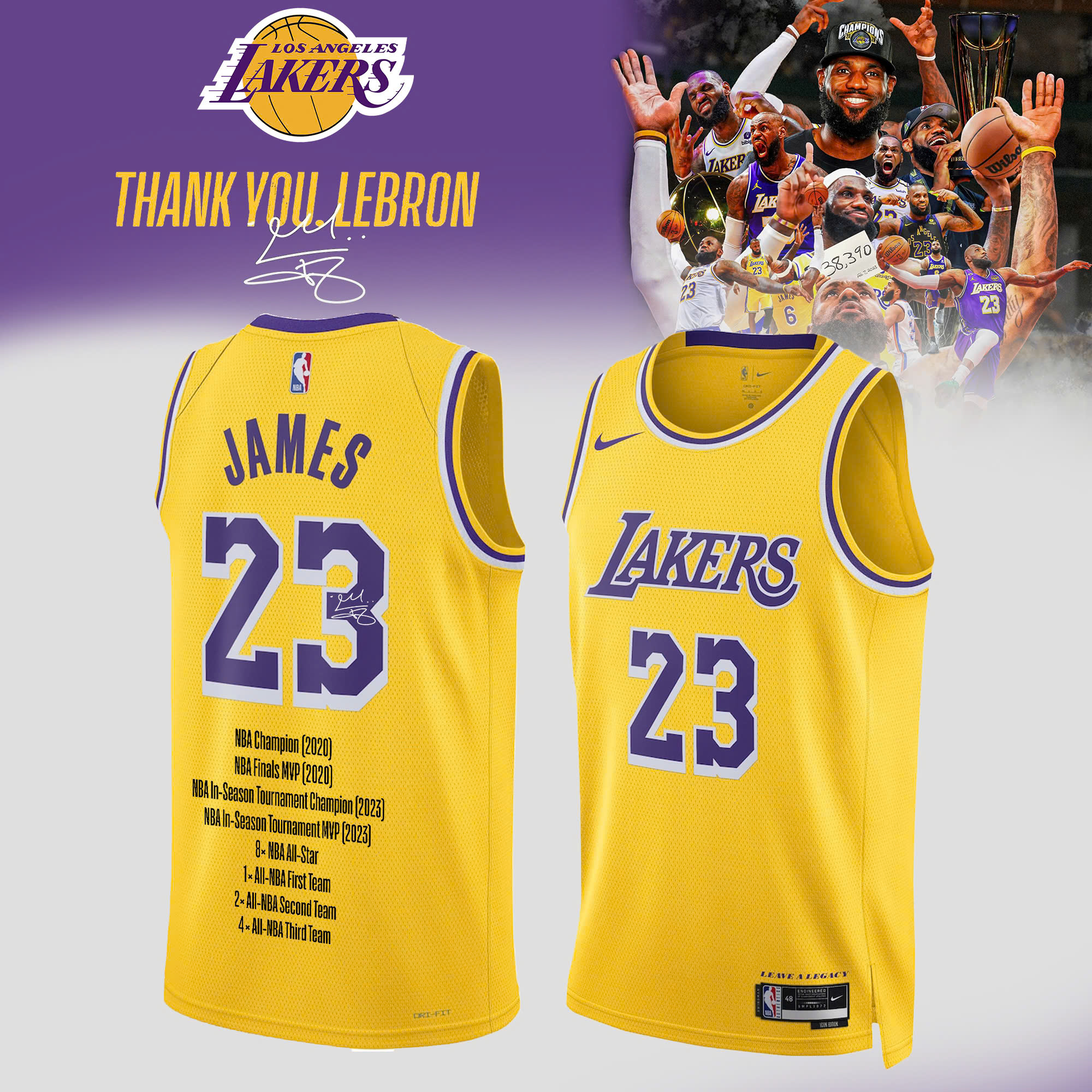 LeBron James Signed LA Lakers Premium Fan Baseball Jersey