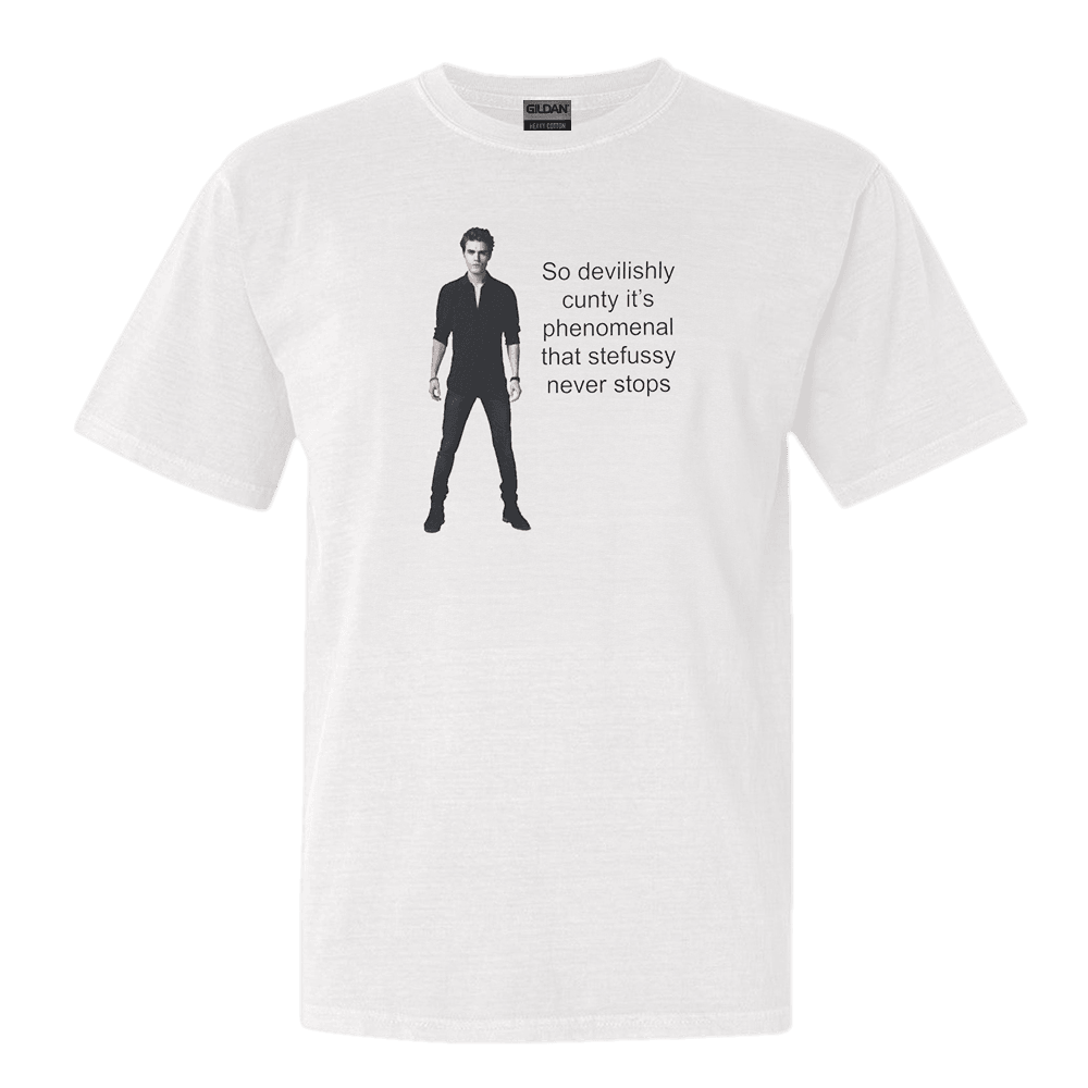 Stefussy Merch TVD Stefan Stefussy TShirt Gifts For Fans Fathers Day Gift for Dad