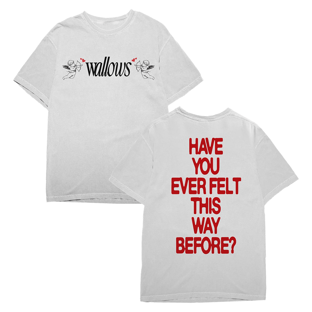 Wallows Merch Wal Angel TShirt Rock Band Fans Gifts For Husband