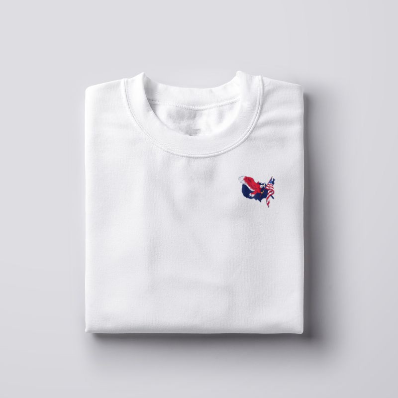 American Bald Eagle with Flag USA 4th of July Patriotic Raglan T-Shirt