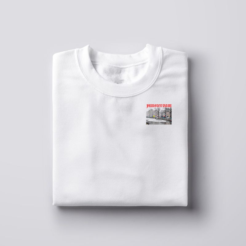 Amsterdam Holland Netherlands Travel Birds Ice White Raglan T-Shirt