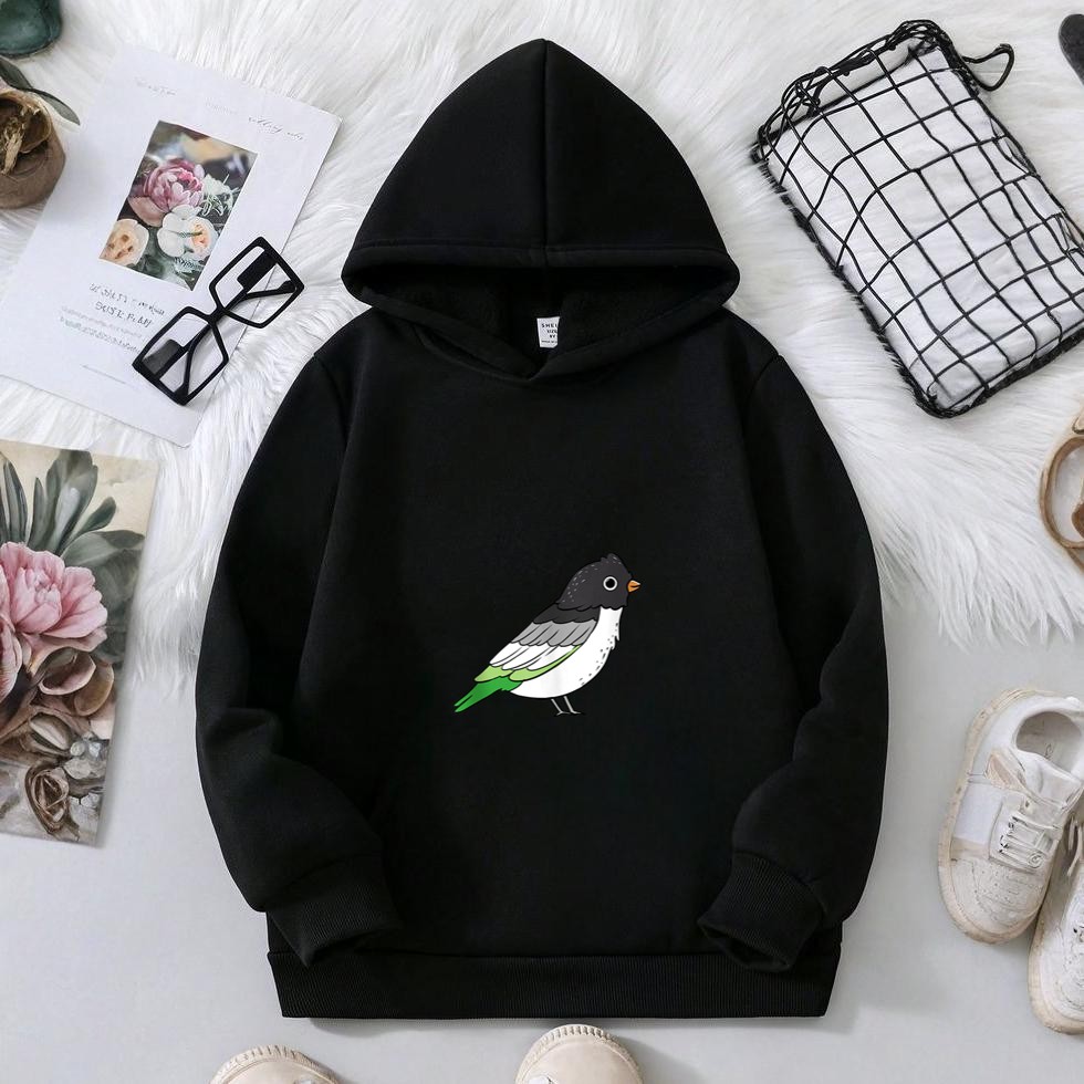 Aromantic Pride Bird Asexual Gift Hoodie