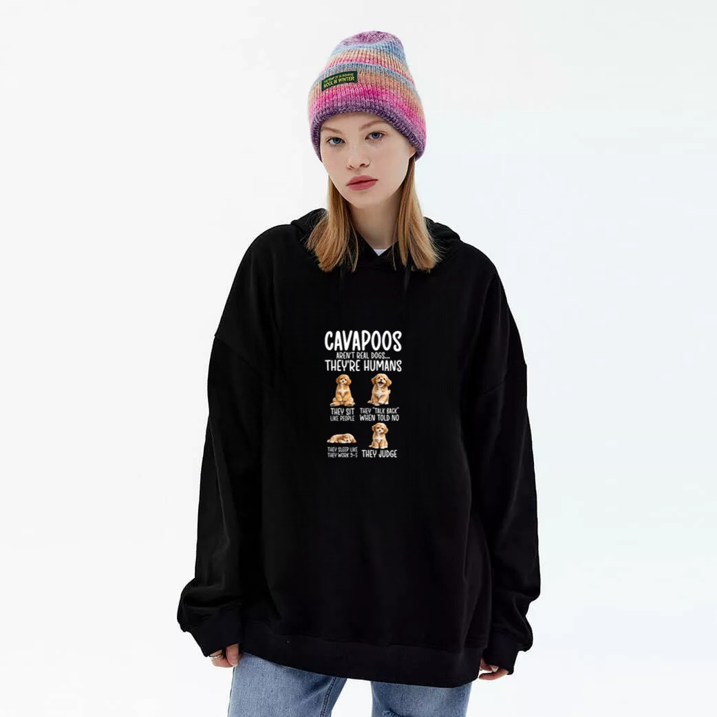 Cavapoos Funny Cavapoo Owner Cavapoo Lover Premium Tri Blend Graphic Hoodie