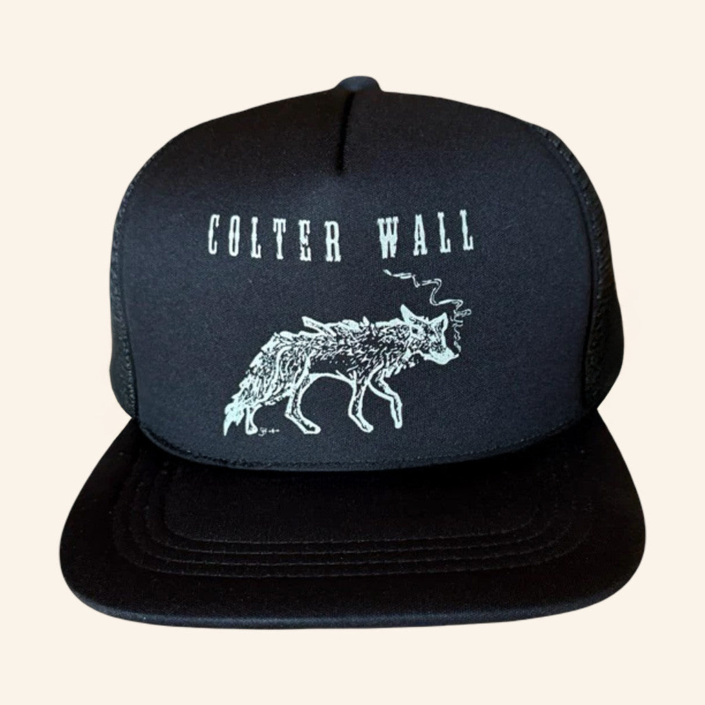 Colter Wall Merch Colter Wall Imaginary Appalachia Album Series Trucker Snapback Hat Gifts