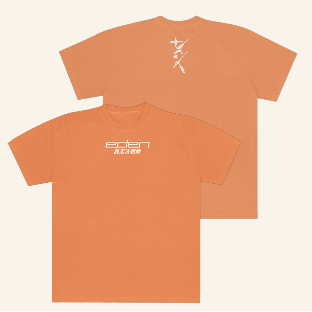 Iameden Merch I Canâ€™t Imagine T-Shirt EDEN Merch Husband Christmas Gift Ideas