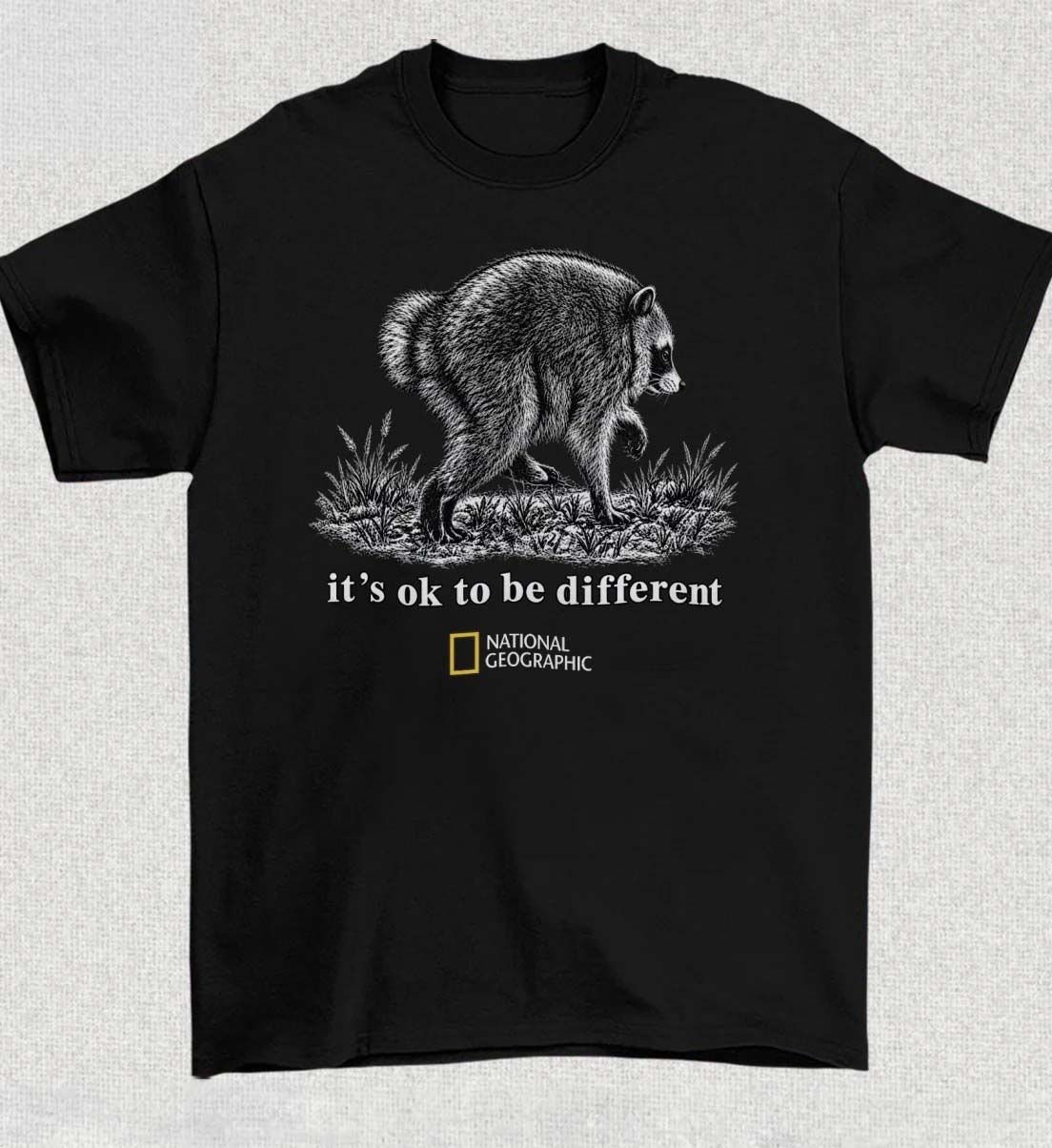 Jimothy Raccoon Its Ok To Be Different 2026 Shirt