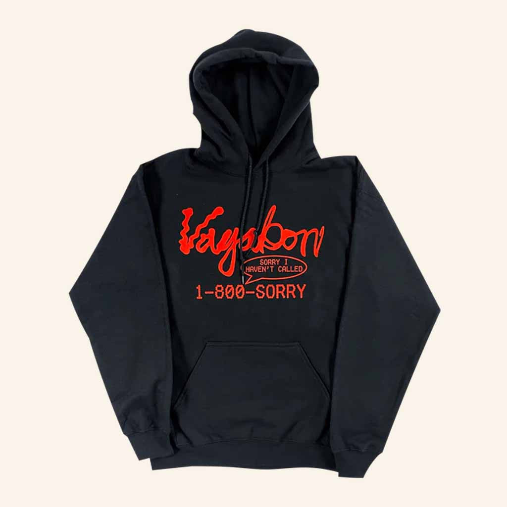 Vagabon Merch Sorry I Haven't Called Hoodie 1 800 Sorry Hoodie Gifts For Music Lovers