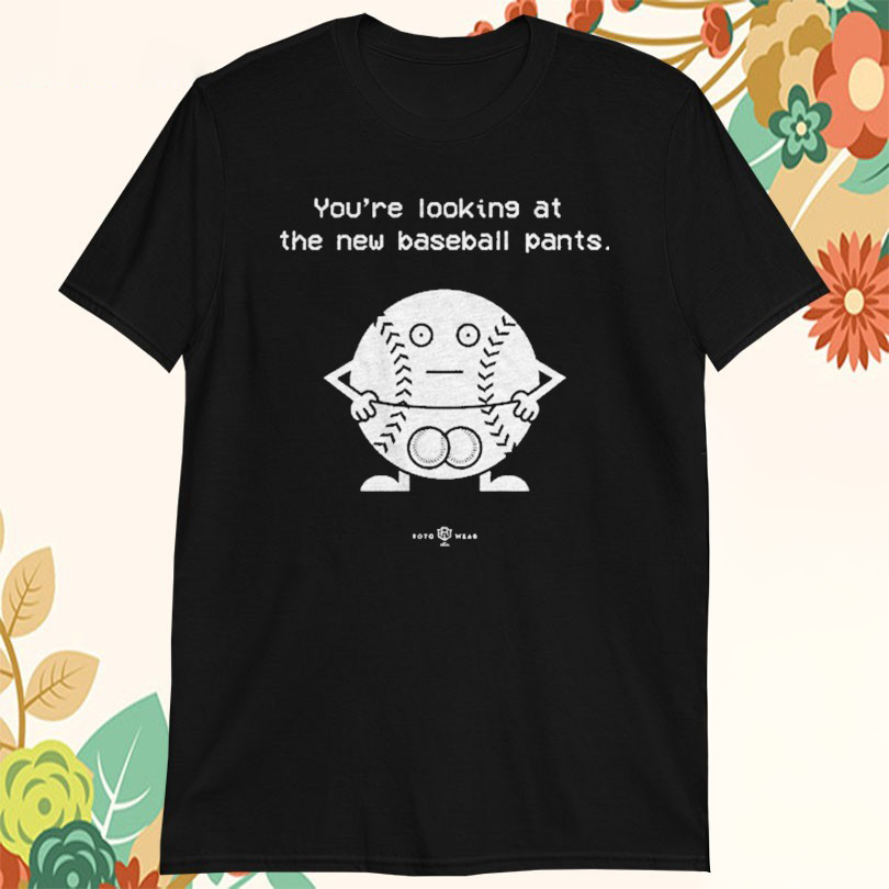 Youre Looking At The New Baseball Pants Tshirts
