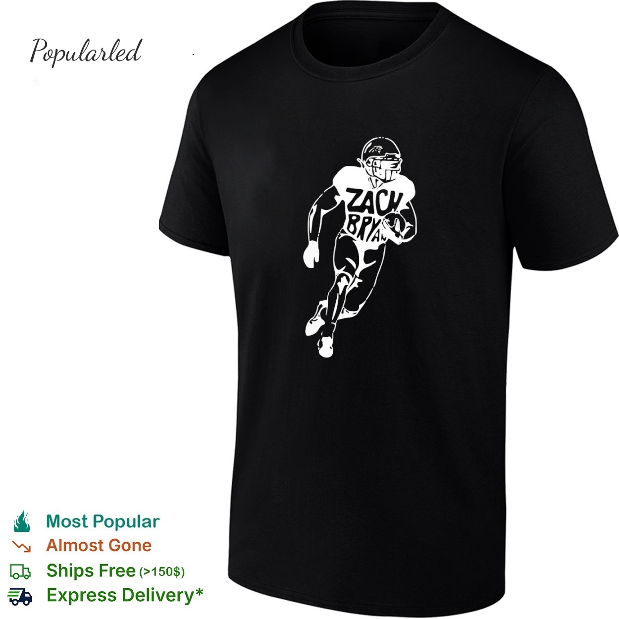 Zach Bryan With Heaven On Tour 2026 bank of American stadium portait shirt